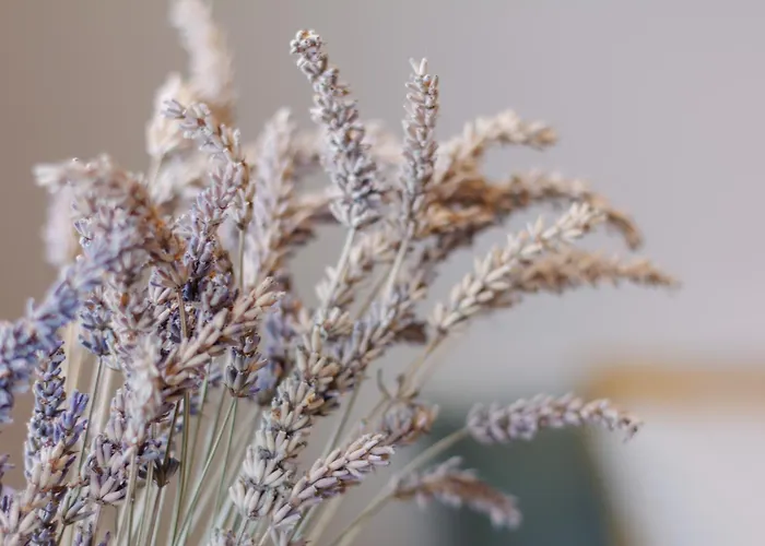 民宿 Cozy Kyoto - - Doppelzimmer Mit Gemeinschaftsbad