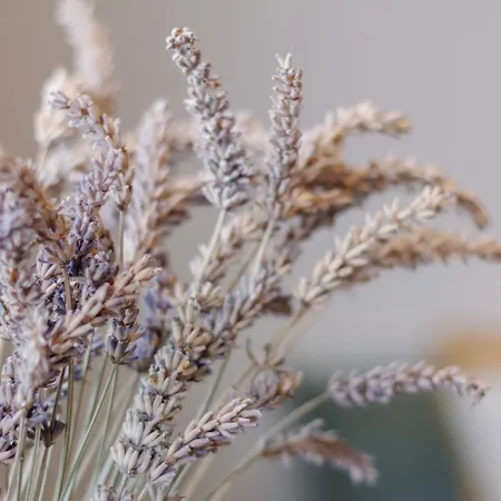 Accommodatie bij particulieren Cozy Kyoto - - Doppelzimmer Mit Gemeinschaftsbad